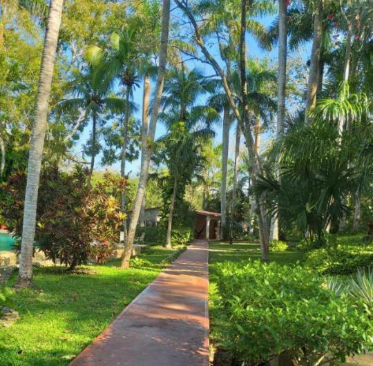 Hacienda Chichen Resort And Yaxkin Spa Dış mekan fotoğraf